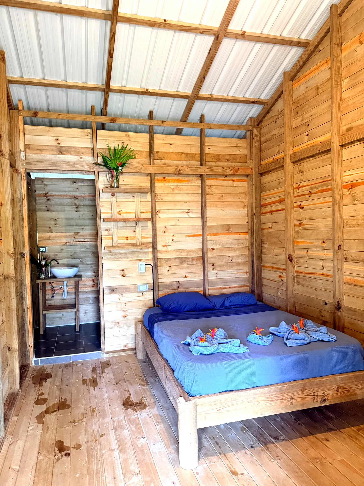 Habitación Colibrí